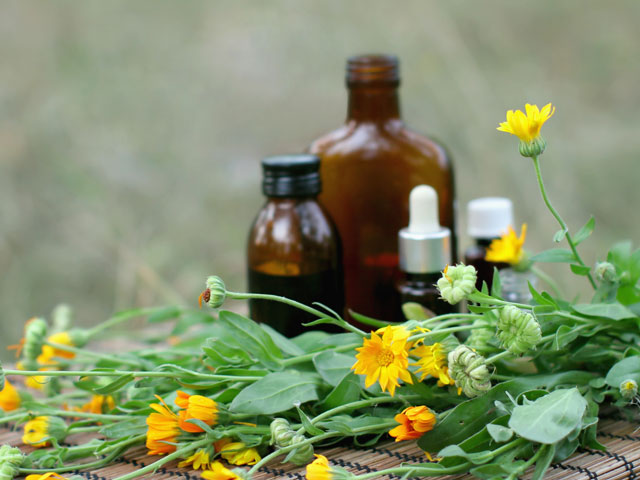 Several tinctures and bottles containing Saccharomyces Ferment