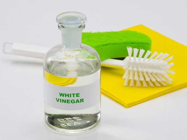 A bottle of white vinegar, a bottle brush, and a cleaning cloth